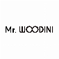 Mr Woodini Eyewear