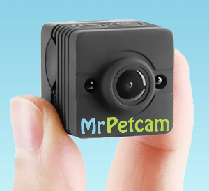 mrpetcam