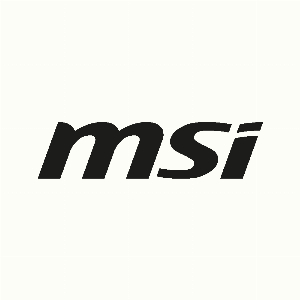 MSI Store