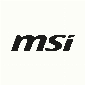 MSI Store