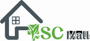 Mulberry Technology Limited Colorado Corporation