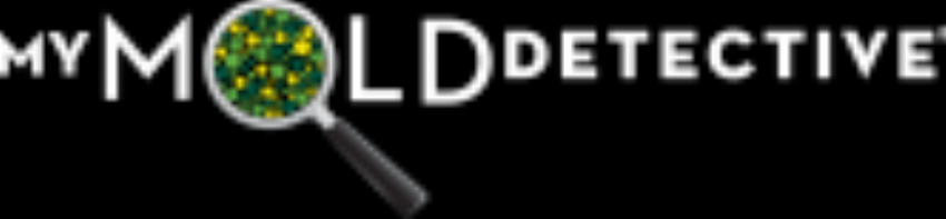 My Mold Detective