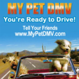 MyPetDMV - The original Pet Drivers License