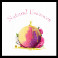 Natural Essences - Homemade Bath Bombs Molds