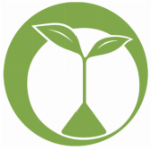 Natural Foundation Supplements