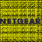 Netgear France