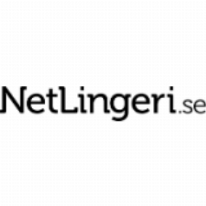 Netlingerie