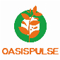 Oasis Pulse