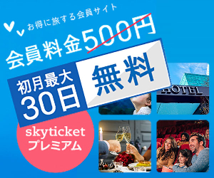 OK skyticket 24-1009