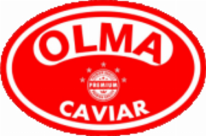 OLMA Star Inc