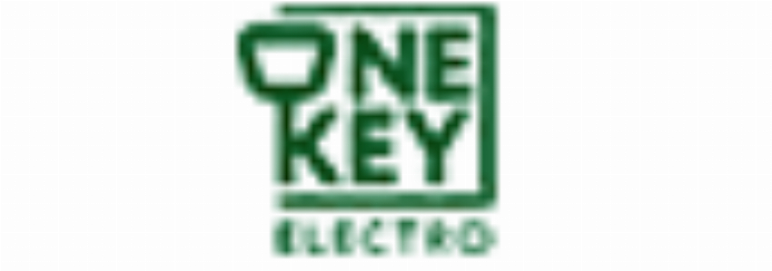 Onekeyelectro