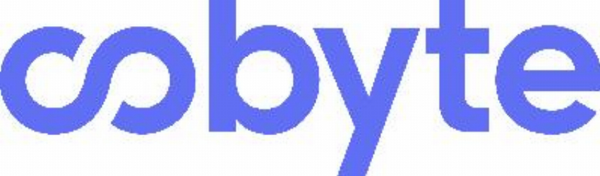 Oobyte Program 2 - Performance