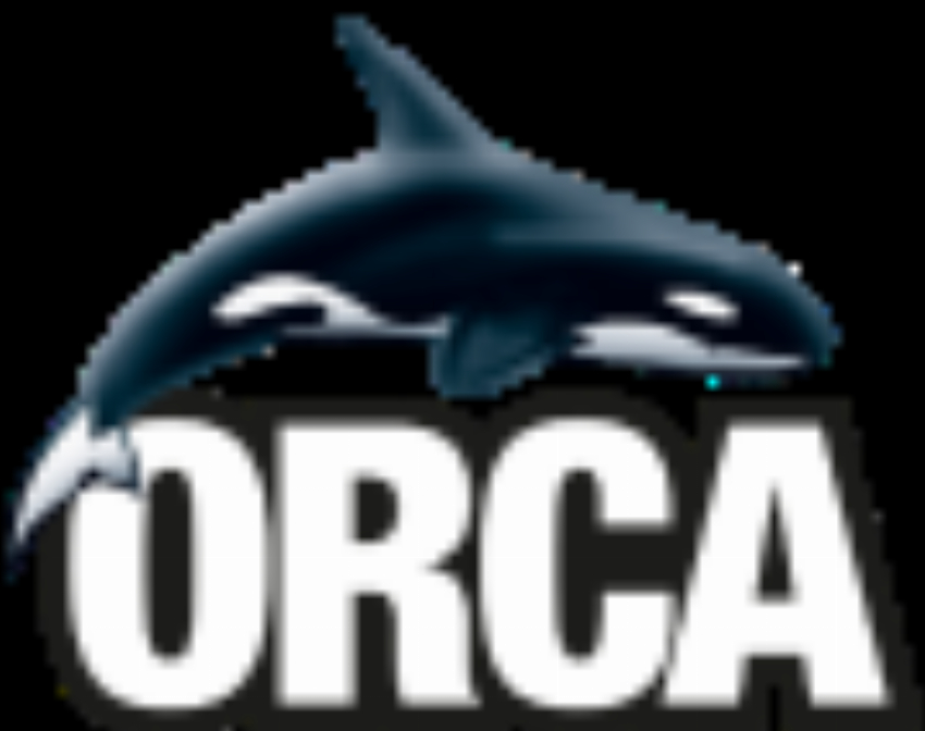 Orca Tauchreisen