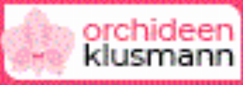 Kortingscode voor 3er Set Two of us Orchideen mit D nger inkl Versand f r nur 45 bij Orchideen Klusmann