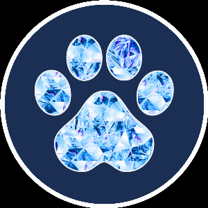 PawCrystal Pet Memorial Crystal Keepsake Tribute G