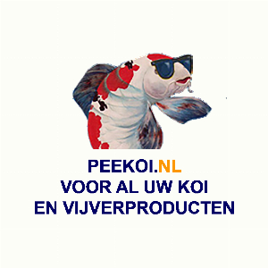Peekoi