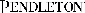 Pendleton Woolen Mills