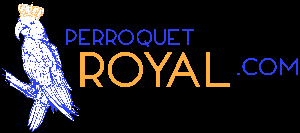 Perroquet-Royal