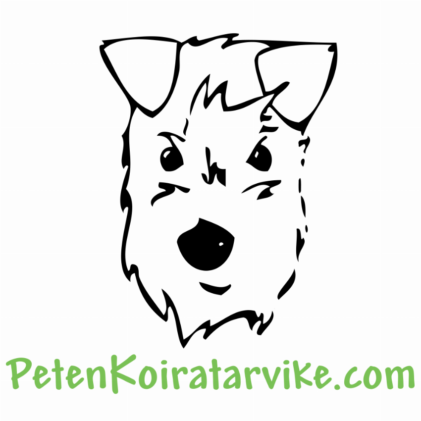 PetenKoiratarvike