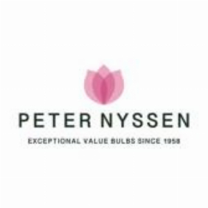 Peternyssen