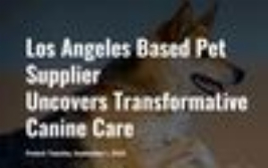 PetJoy - Multi Vitamin - Jump Page VSL