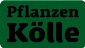 Pflanzen Koelle