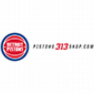 pistons313shop