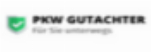 PKW GUTACHTER