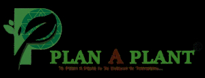 Plan A Plant