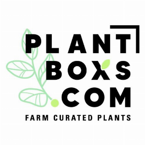 Plantboxs