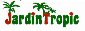 plantes exotiques