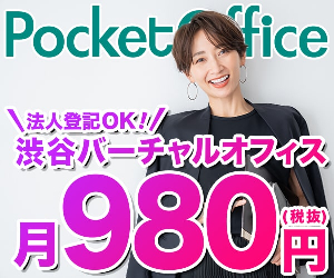 PocketOffice 25-1031