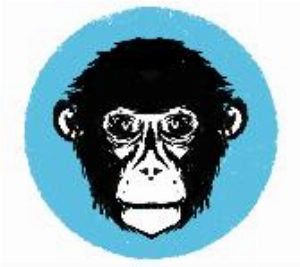 Polar Monkeys Studios