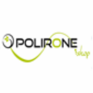 Polironeshop it