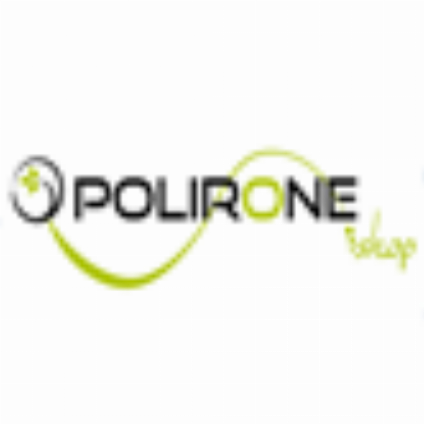 polironeshop it