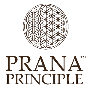 Prana Principle