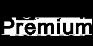 Premium Dashcam - CIT