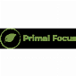 Primal Focus