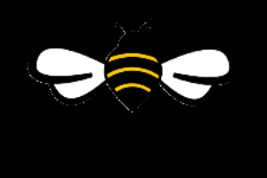 Project Honey Bees