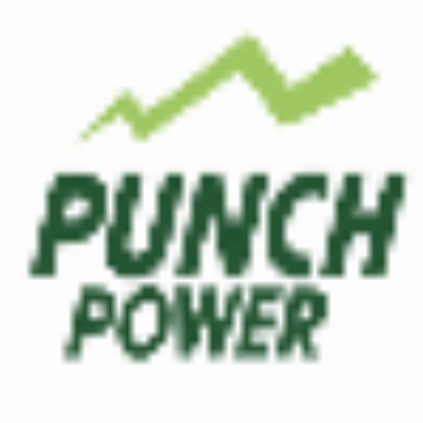 punch power - Display Network