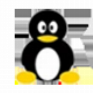 QQ WORLD