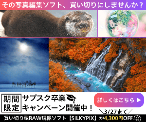 RAW SILKYPIX Developer Studio Pro12 20-0910