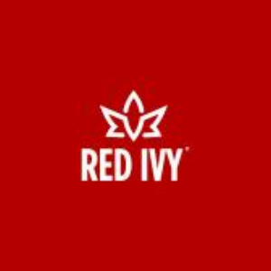 RED IVY online marketing B2B