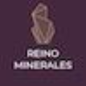 Reino Minerales es - Est ndar
