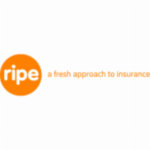 RIPE - Small Business