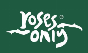 Roses Only A