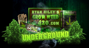 ryanrileys420shop