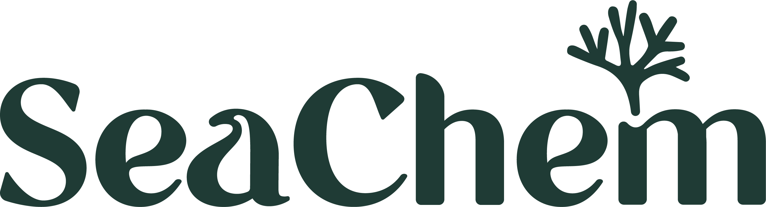 sea-chem