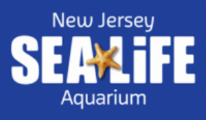 Sealife New Jersey WW