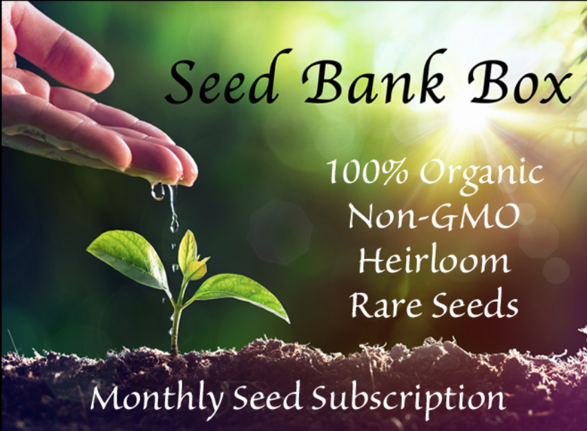 seedbankbox